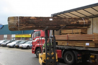 Vom Baum zum Baumstammtisch