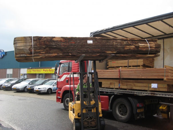 Vom Baum zum Baumstammtisch